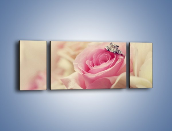 Obraz na płótnie – Związek z różą na zawsze – trzyczęściowy K393W5