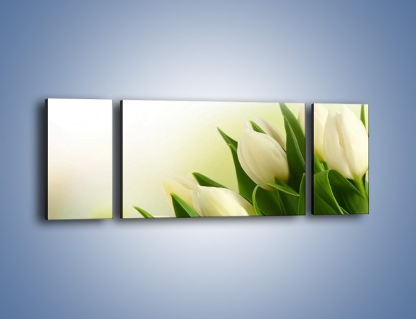 Obraz na płótnie – Białe tulipany na zgodę – trzyczęściowy K400W5