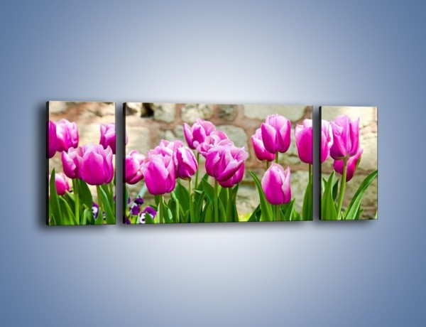 Obraz na płótnie – Tulipany w domowym ogródku – trzyczęściowy K409W5