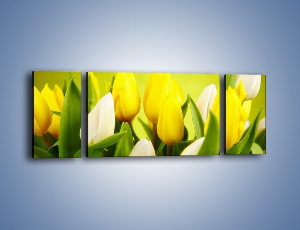Obraz na płótnie – Nie tylko tulipany – trzyczęściowy K425W5