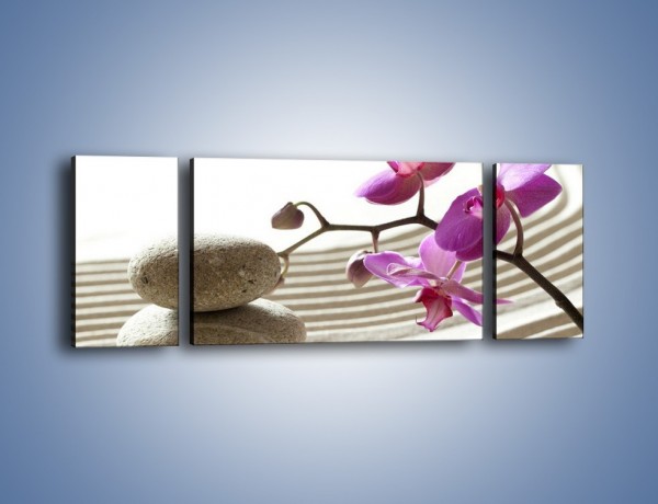 Obraz na płótnie – Kamień piasek i kwiat – trzyczęściowy K435W5