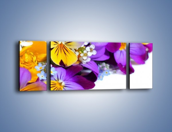 Obraz na płótnie – Ciepłe kolory w kwiatach – trzyczęściowy K442W5