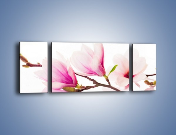 Obraz na płótnie – Lekkość w kwiatach wiśni – trzyczęściowy K485W5
