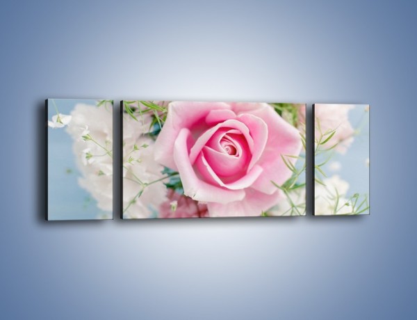 Obraz na płótnie – Róża z przesłaniem – trzyczęściowy K493W5