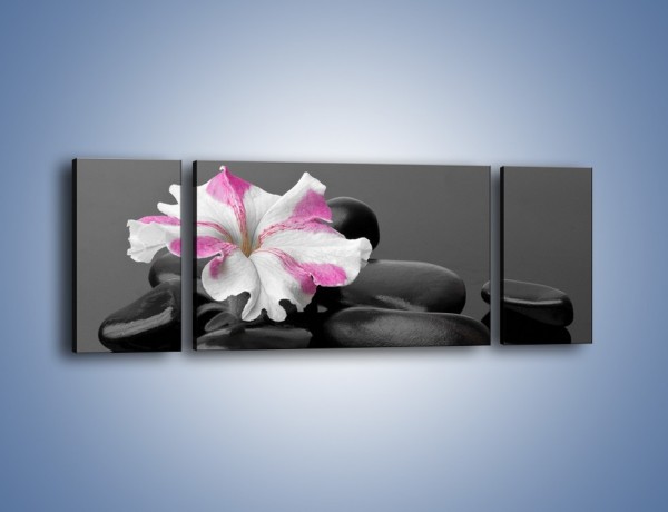 Obraz na płótnie – Czarna tafla z kwiatem – trzyczęściowy K520W5