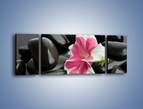 Obraz na płótnie – Kwiat zakopany w kamieniach – trzyczęściowy K521W5
