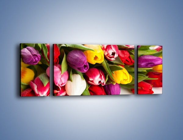 Obraz na płótnie – Spokój i luz zachowany w tulipanach – trzyczęściowy K538W5