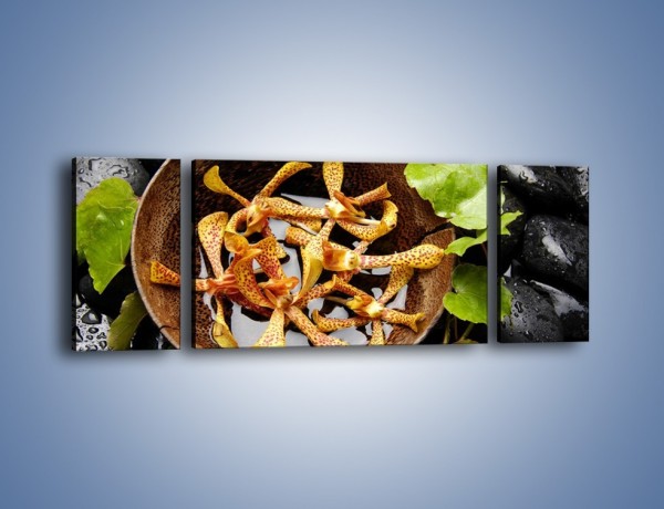 Obraz na płótnie – Liście storczyków w misce – trzyczęściowy K574W5