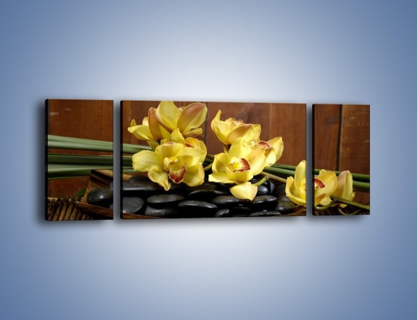 Obraz na płótnie – Kwiaty na drewnianym naczyniu – trzyczęściowy K575W5
