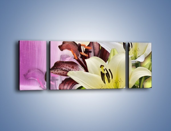 Obraz na płótnie – Podwójna twarz lilii – trzyczęściowy K584W5