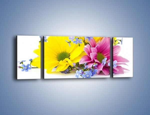 Obraz na płótnie – Niezapominajki wśród kwiatów – trzyczęściowy K604W5
