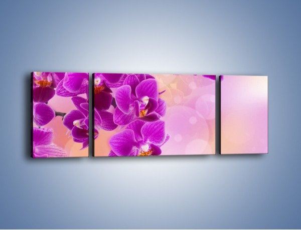 Obraz na płótnie – Spadające fioletowe kwiaty – trzyczęściowy K614W5