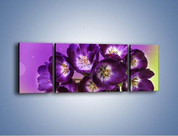 Obraz na płótnie – Fioletowe kwiaty w powietrzu – trzyczęściowy K630W5