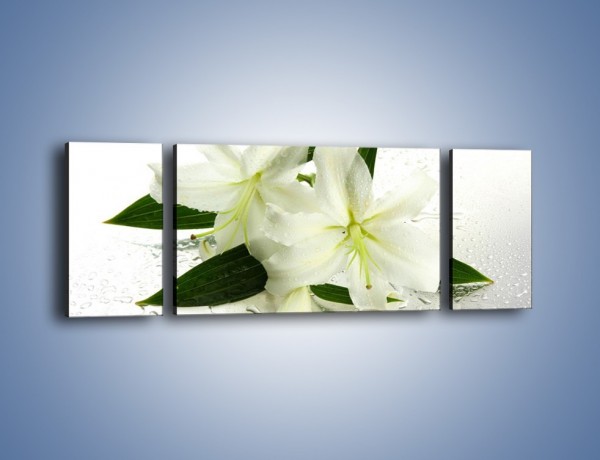 Obraz na płótnie – Niewinność białej lilii – trzyczęściowy K632W5
