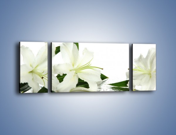 Obraz na płótnie – Czysta biel kwiatów – trzyczęściowy K633W5