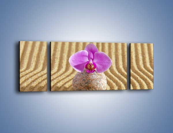Obraz na płótnie – Struktura piasku z kwiatem – trzyczęściowy K637W5