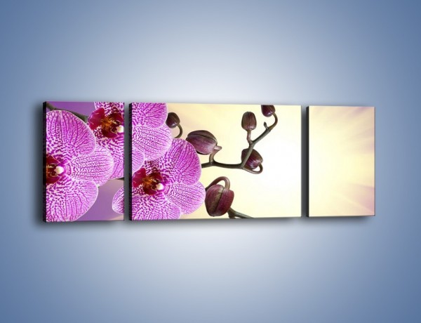 Obraz na płótnie – Jasność i kwiat – trzyczęściowy K641W5