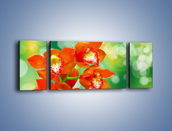 Obraz na płótnie – Kwiatek jak pomarańcza – trzyczęściowy K642W5
