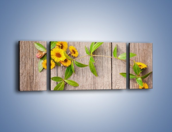 Obraz na płótnie – Słoneczne kwiatuszki na deskach – trzyczęściowy K645W5