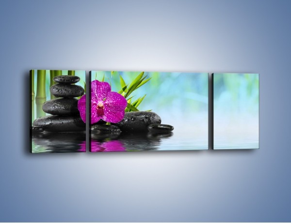 Obraz na płótnie – Wodny pejzaż z kwiatem – trzyczęściowy K646W5
