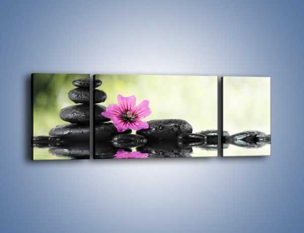 Obraz na płótnie – Odbicie kwiatuszka w wodzie – trzyczęściowy K647W5