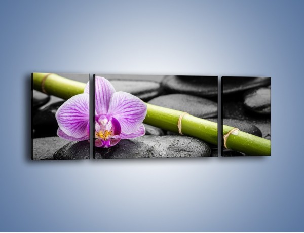 Obraz na płótnie – Bambus czy storczyk – trzyczęściowy K686W5
