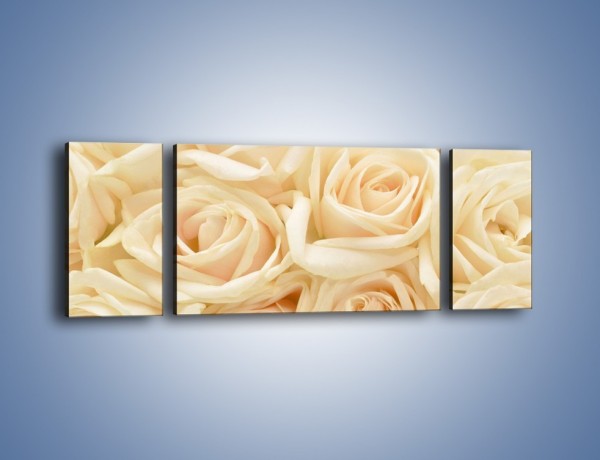 Obraz na płótnie – Bukiet herbacianych róż – trzyczęściowy K710W5