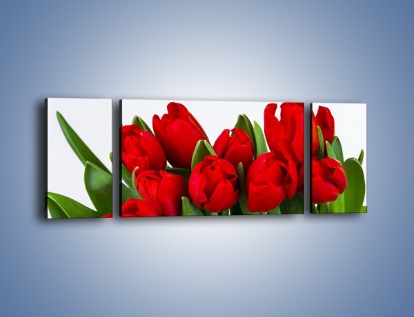 Obraz na płótnie – Tulipany na dzień kobiet – trzyczęściowy K740W5