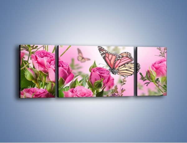 Obraz na płótnie – Motyle różowe jak kwiaty – trzyczęściowy K741W5