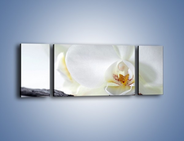 Obraz na płótnie – Laski wanilii i kwiat – trzyczęściowy K750W5