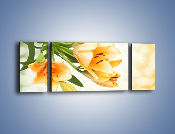 Obraz na płótnie – Łososiowe pachnące lilie – trzyczęściowy K755W5
