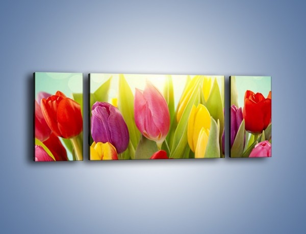 Obraz na płótnie – Tulipany w pierwszym rzędzie – trzyczęściowy K760W5