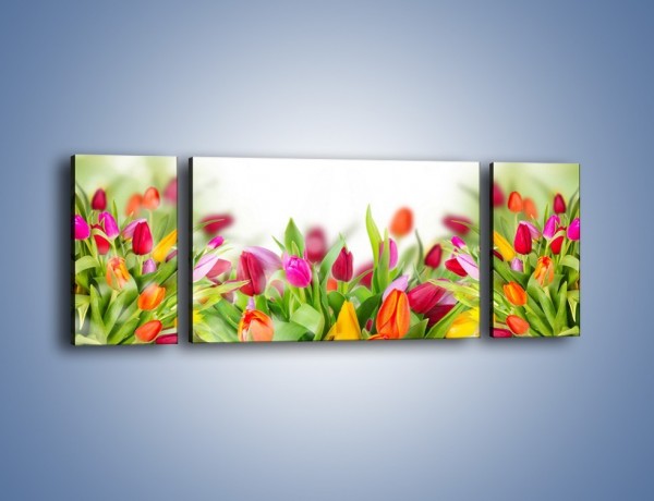 Obraz na płótnie – Tulipanowe bukieciki – trzyczęściowy K763W5