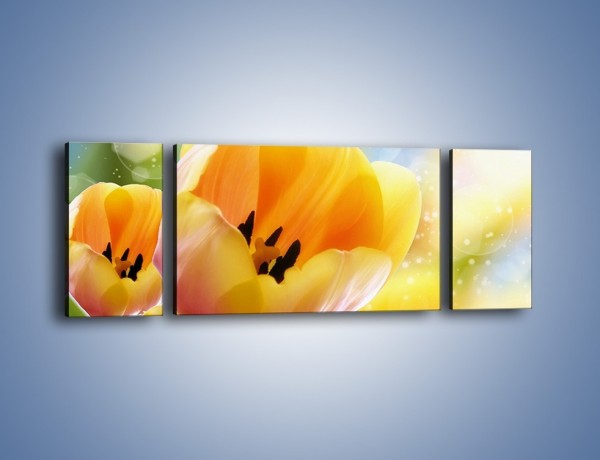 Obraz na płótnie – Tulipan jak sen – trzyczęściowy K776W5