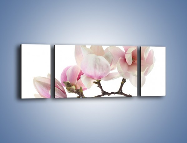 Obraz na płótnie – Obcięte gałązki białych różowych kwiatów – trzyczęściowy K783W5