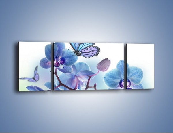 Obraz na płótnie – Niebieskie motyle jak niebieskie kwiaty – trzyczęściowy K784W5