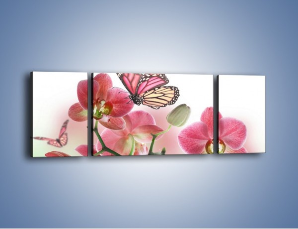 Obraz na płótnie – Różowy motyl czy kwiat – trzyczęściowy K786W5