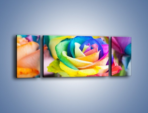 Obraz na płótnie – Róże z każdej strony – trzyczęściowy K798W5