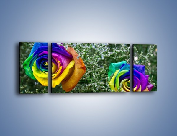 Obraz na płótnie – Kolorowe różane główki – trzyczęściowy K800W5