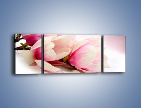 Obraz na płótnie – Gałąź magnolii na obłoku – trzyczęściowy K817W5
