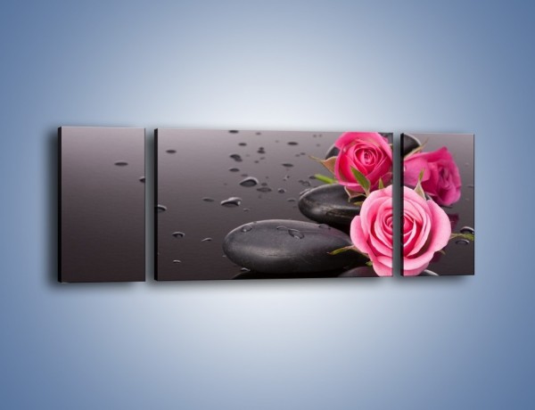 Obraz na płótnie – Róże na mokrych kamieniach – trzyczęściowy K822W5