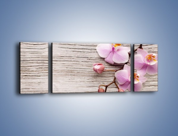 Obraz na płótnie – Kwiaty na drewnianej belce – trzyczęściowy K825W5