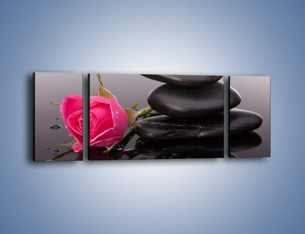 Obraz na płótnie – Róża schowana za kamieniem – trzyczęściowy K833W5