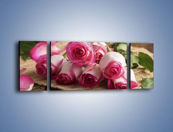 Obraz na płótnie – Zapomniane chwile wśród róż – trzyczęściowy K838W5