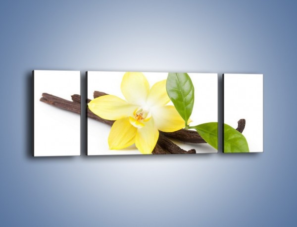 Obraz na płótnie – Samotny kwiat i dodatki – trzyczęściowy K849W5