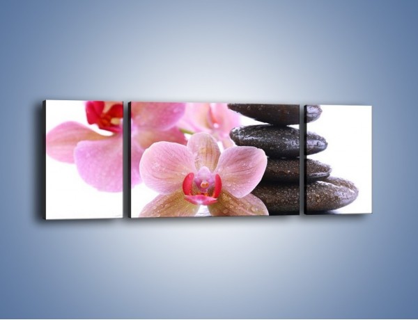 Obraz na płótnie – Deszcz kwiaty i kamienie – trzyczęściowy K861W5