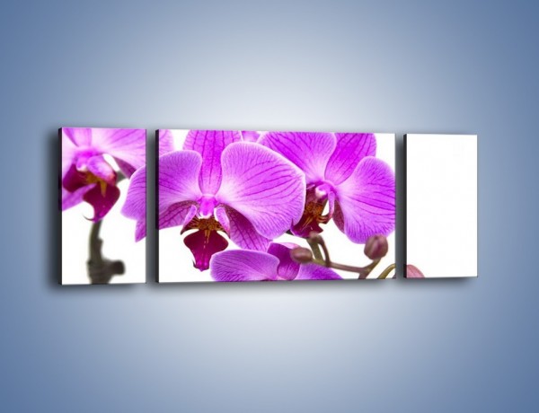 Obraz na płótnie – Samotne kwiaty bez dodatków – trzyczęściowy K870W5
