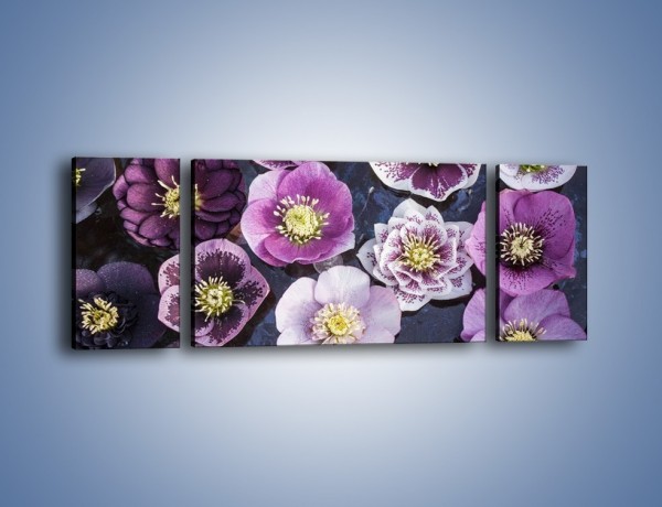 Obraz na płótnie – Wszystkie odcienie fioletu w kwiatach – trzyczęściowy K876W5