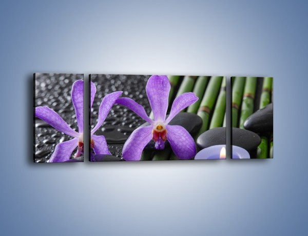 Obraz na płótnie – Mokre fiolety i kwiaty – trzyczęściowy K880W5