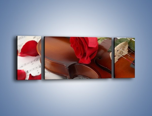 Obraz na płótnie – Instrument muzyka i kwiaty – trzyczęściowy K900W5